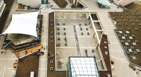 Professional Supervision & Consultancy